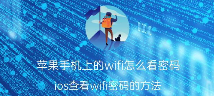 苹果手机上的wifi怎么看密码 ios查看wifi密码的方法？